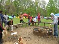 Scout Camp 019